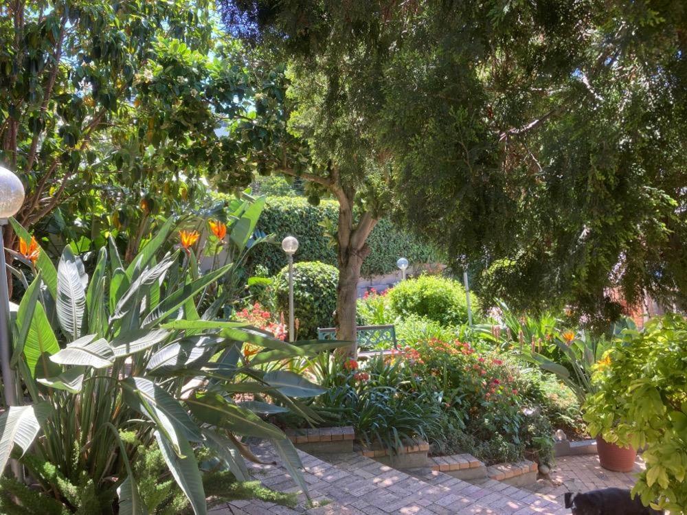 Maroela House Guest Accommodation Bellville Exterior photo